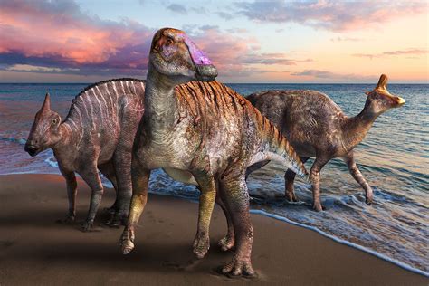 10 most amazing dinosaurs.